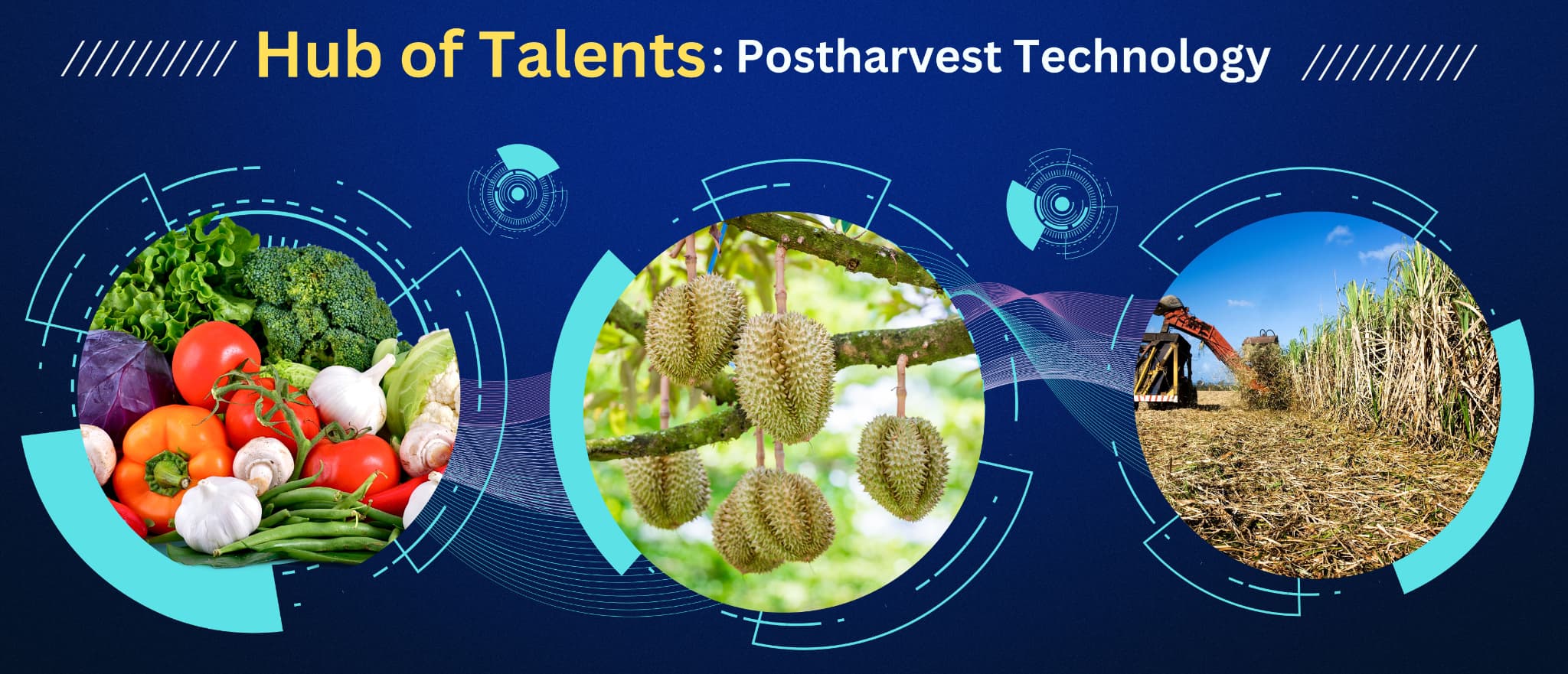 Hub of Talents: Postharvest technology